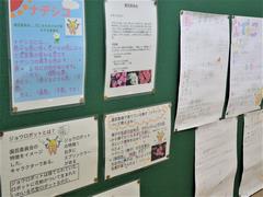 ナデシコ・コーナー1