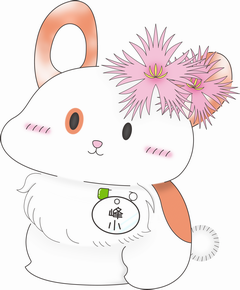 峰うさ完成
