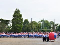 大玉3