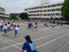 低学年4
