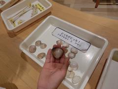 館内4