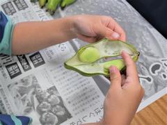 そら豆3