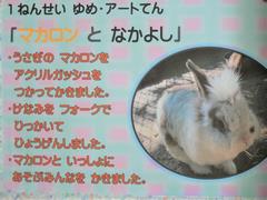 1年生