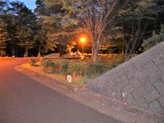 宿泊学習