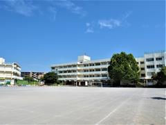 峰台の夏
