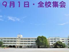 集会