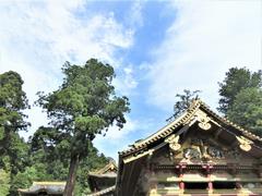 修学旅行