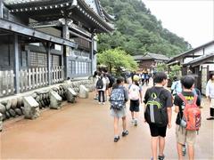 修学旅行
