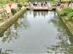 修学旅行