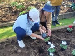 みねっこガーデン