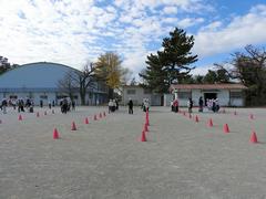 峰っ子チャレンジ