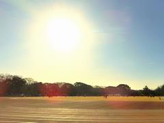 駅伝フェスティバル