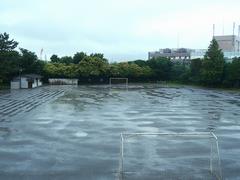 台風の日
