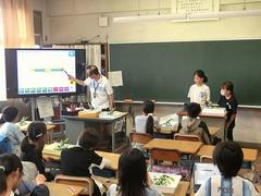 プログラミング
