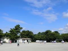 陸上