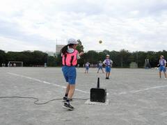 ティーボール