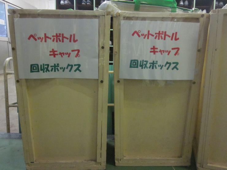 ペットボトルの写真2