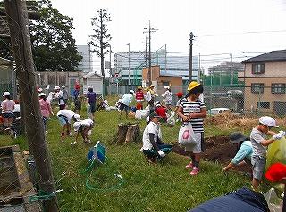 夏の日差しを浴びて、 草木もぐんぐん成長しています。