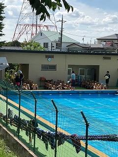 4年生の泳力測定の様子