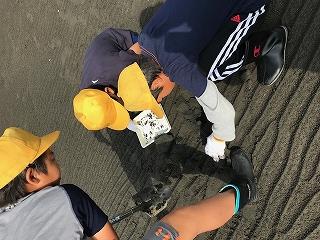 フィールドワーク