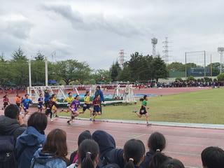 女子800Ｍ走