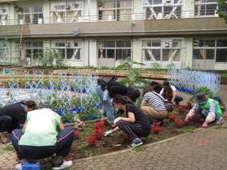 草むしりの様子