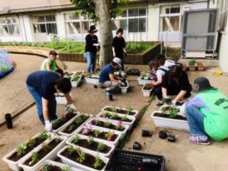 プランターの植え替えの様子