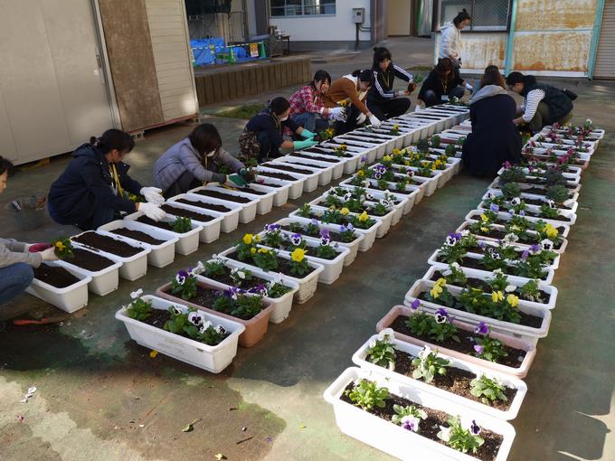 花を植える活動の様子