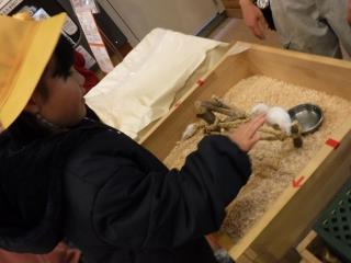 ハツカネズミも可愛かったね