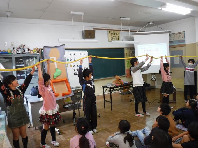小腸の長さ
