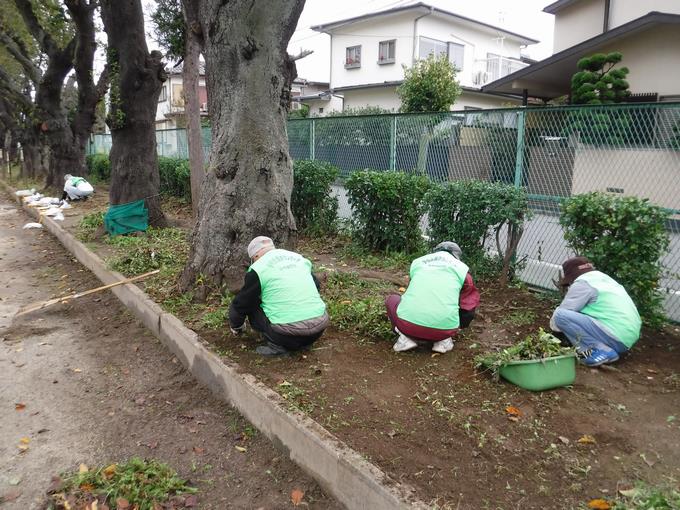 ボランティアさんの事前の草取り