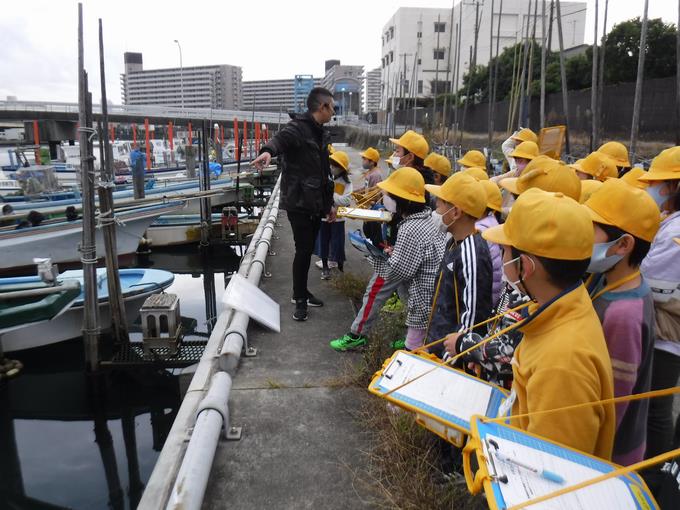 漁港の見学