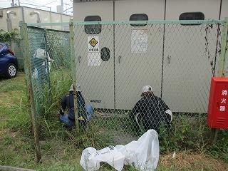 除草作業の様子1
