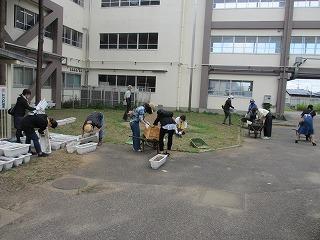 プランター掃除の様子