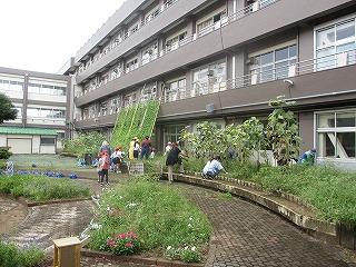 除草作業開始