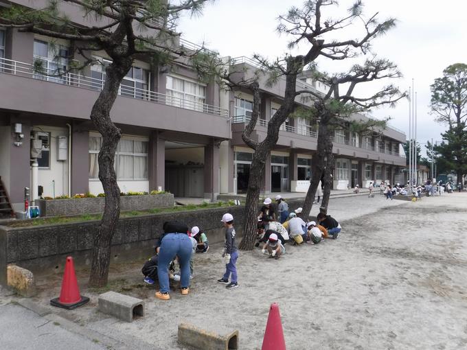 1年生は校庭担当