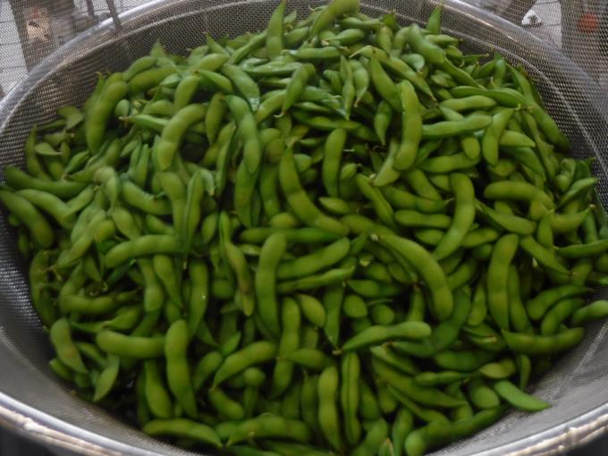 茹で上がった枝豆