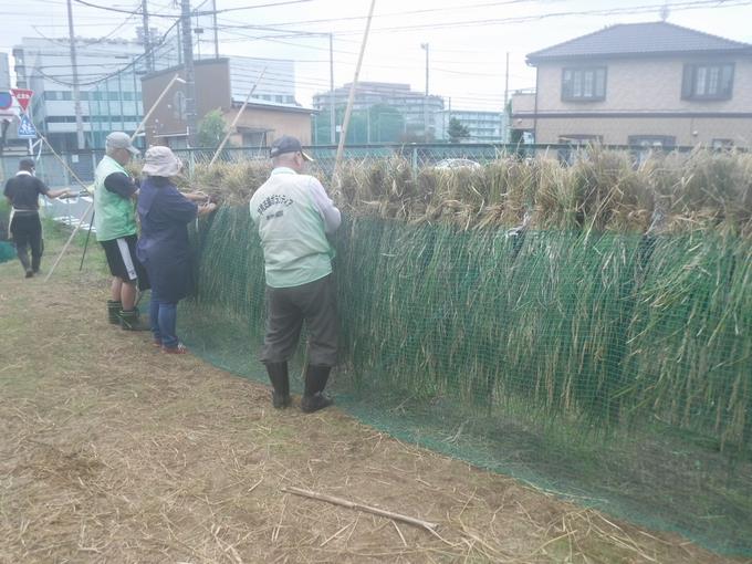 すずめ対策で網をはります