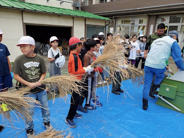 束ねた稲を持って順番を待ちます
