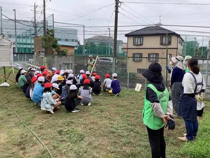 田んぼ①