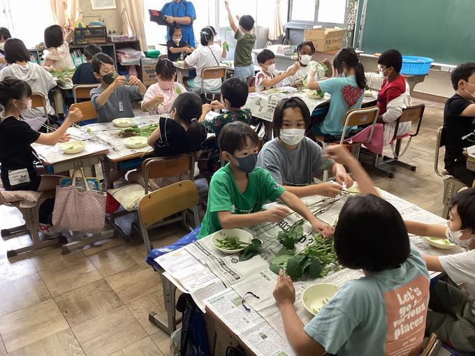 枝豆②