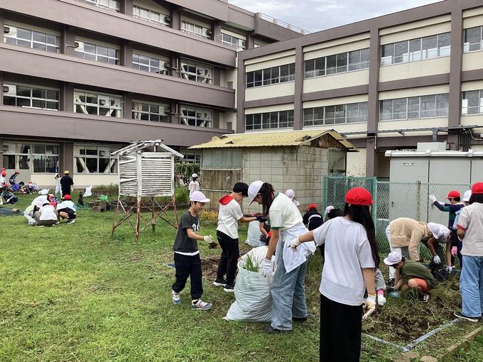 除草作業の様子③
