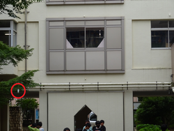 R6.7.11_1