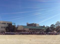 運動会4