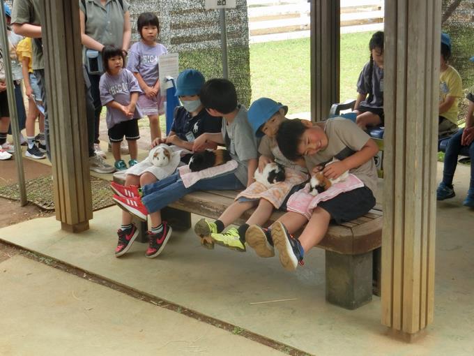 ふれあい動物園