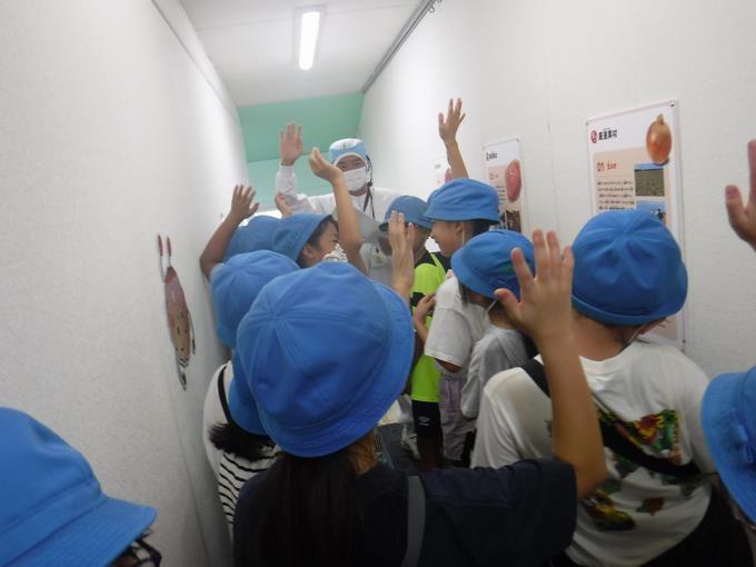 製造過程を見学