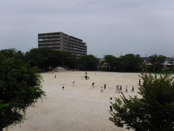 交流活動