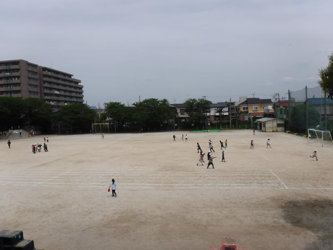 交流活動