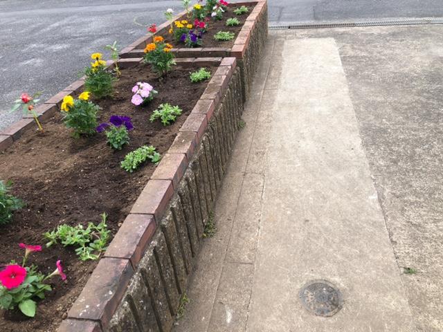 花壇の花