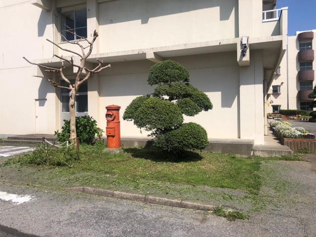 after(4月に教員で実施済み)
